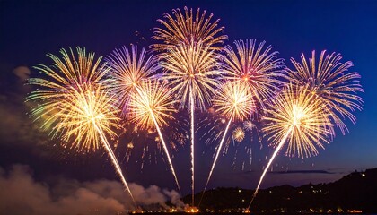 The night sky with fireworks