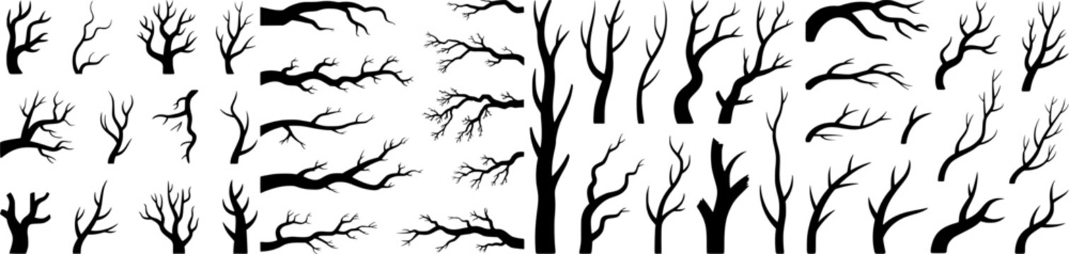 Vector set of bare tree and branch silhouettes without leaves. Black winter forest elements ideal for nature scenes, spooky designs, posters and decorative graphics.