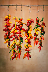 Colorful chili peppers hanging to dry
