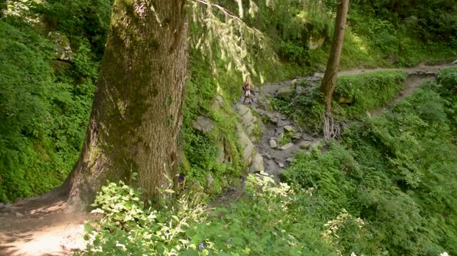 Man Trekking on Forest Trail With Dog in Kheerganga, Kasol, Himachal Pradesh, India