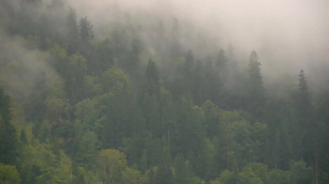 Beautiful view of Himalayan mountains on the trekking route to Kheerganga, Nakthan, Parvati valley, Himachal Pradesh, northern India.