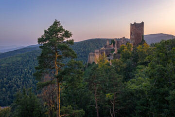 Abendstimmung an der Burgruine St. Ulrich bei Ribeauville