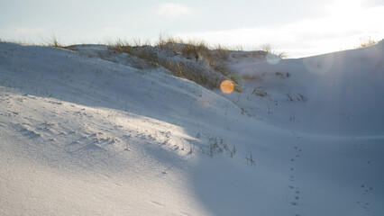 Strand Sondervig Argab Hauvrig, D&auml;nemark