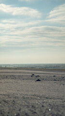 Sonnenuntergang im Winter am Strand D&auml;nemark