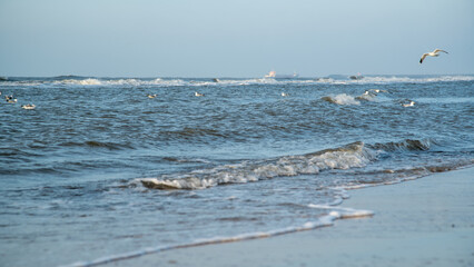 Wellen und Brandung in D&auml;nemark im Winter