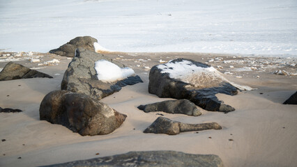 Strand D&auml;nemark Hvide Sande im Winter