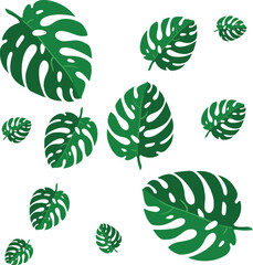 Vector set of tropical jungle leaves including Monstera, Banana, and Palm fronds isolated on a black background.