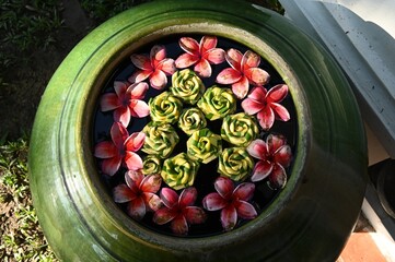 Schwimmende Bl&uuml;ten im Keramiktopf