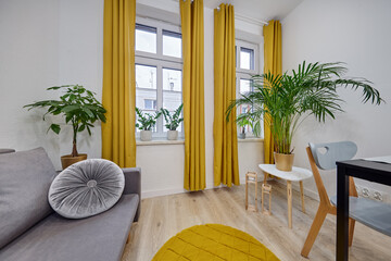 Salon w nowoczesnym apartamencie z szarą sofą i musztardowymi zasłonami © arteffect.pl