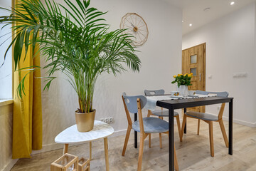 Salon w nowoczesnym apartamencie – jadalnia ze stolikiem z talerzami, duży zielony kwiat w doniczce © arteffect.pl