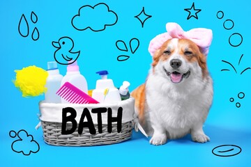 Cheerful corgi with a pink towel headband sits beside a basket of bath items on a blue background, perfect for pet grooming themes.