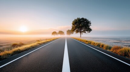 Obraz premium Empty road leading into sunrise symbolizing journey direction future opportunities hope progress and personal growth concept background, Generative AI
