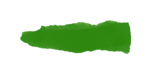 Vibrant green torn paper strip rugged organic jagged edges grunge texture design element dynamic abstract backdrop raw