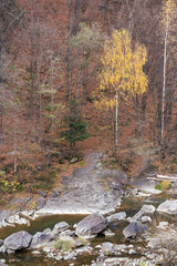 A stunning autumn landscape of the Carpathians
