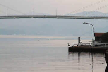 海辺に佇むアオサギと橋