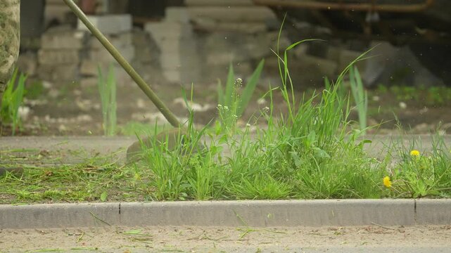 Super slow motion close up of gardener mows grass with gasoline lawn string trimmer with flying blades of grass.