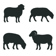 Black Sheep and Ram Silhouettes Collection
