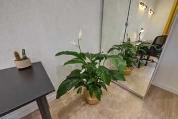 Pokój z biurkiem i łóżkiem - gabinet © arteffect.pl