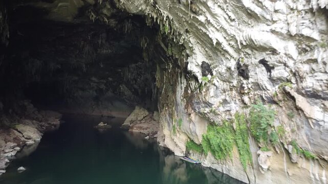 Bats emerging near Xe Bang Fai Cave in Laos