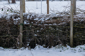 Snow in the garden and outside