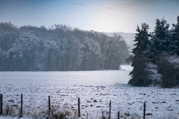 Snow in the garden and outside