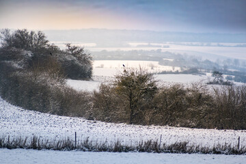 Snow in the garden and outside