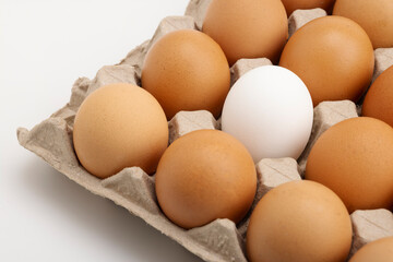 White and brown chicken egg in paper tray on white background