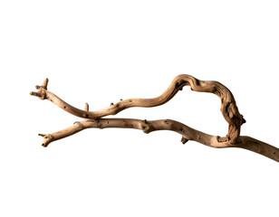 Obraz premium Gnarled, twisted wooden branch against stark black background