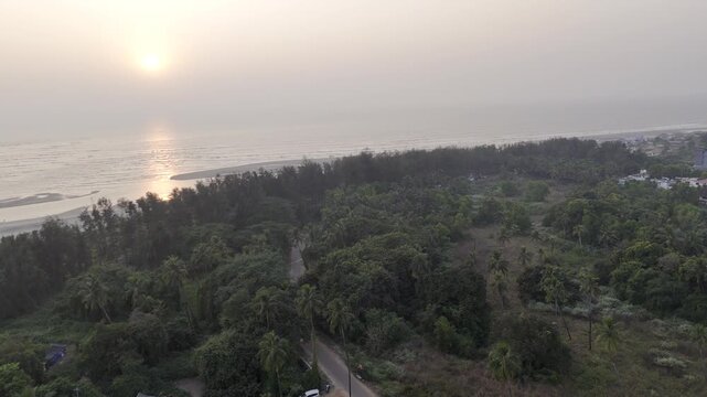 Sunset view of Morjim turtle nesting beach, Goa in winter, showing a coastal road winding through lush greenery with coconut palms and native vegetation, and the Arabian Sea in the background.