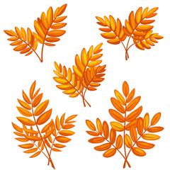 Vibrant autumn leaves set five clusters of falling foliage ready for design isolated on transparent background