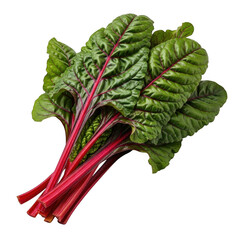 Vibrant rainbow chard bunch with red stems and green leaves isolated on black isolated on transparent background