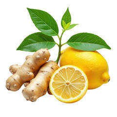 Fresh lemon and ginger root with green leaves for healthy beverage ingredients isolated on transparent background