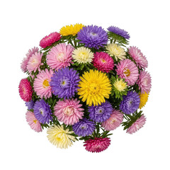 Vibrant aster flower bouquet offering a spectrum of colorful blooms isolated on transparent background