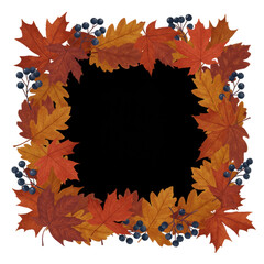 Vibrant autumn leaves frame design with dark berries for seasonal decor and projects isolated on transparent background