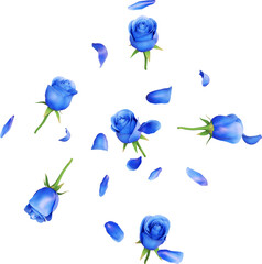 Blue Rose Petals