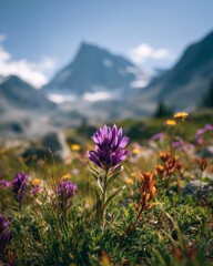 Fototapeta premium Wildflower close up with vibrant purple bloom, alpine meadow, colorful flowers, mountain peak background, summer landscape, natural beauty, peaceful atmosphere