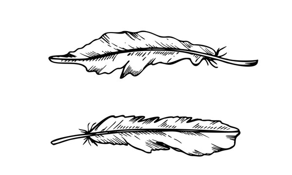 Monochrome bird feathers clip art black and white vector isolated illustration. Hand drawn feather outline collection. Natural elements for carnival mask decor, print patterns, packaging