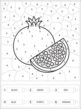 Pomegranate Coloring Page Line Art Educational Worksheet for Kids