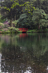 Big lake in the park with small bridge.