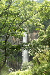 waterfall in a quiet forest, Nikko