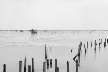 foggy morning on the beach