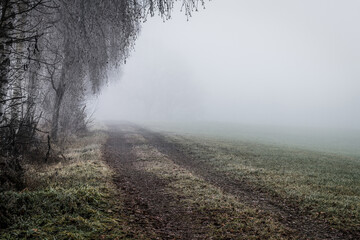 November Nebel Landschaften im Winter im bayerischen Wald, Deutschland