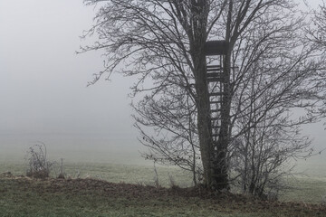 November Nebel Landschaften im Winter im bayerischen Wald, Deutschland