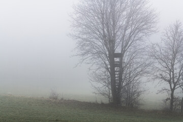 November Nebel Landschaften im Winter im bayerischen Wald, Deutschland