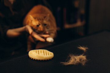 Comb and shedding cat fur on surface