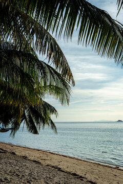 Tropical beach with palm trees at sunset light. Thailand islans, trevel vacation vibes.