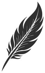 Obraz premium Single dark stylized quill feather detailed design isolated on white background