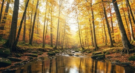 A serene forest scene with a stream flowing through vibrant autumn foliage, sunlight beams