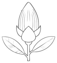 Obraz premium Floral illustration of a bud and leaves with a stem.