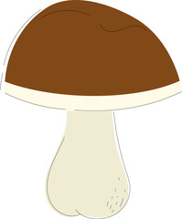 Porcini mushroom illustration. King bolete mushroom